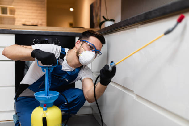 Best Pest Control Near Me  in Depoe Bay, OR