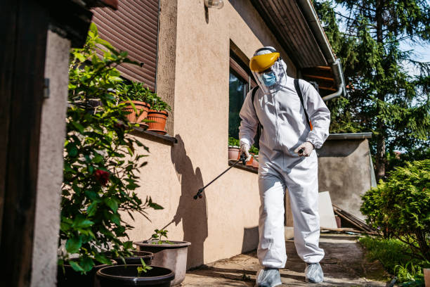 Trusted Depoe Bay, OR Pest Control Experts