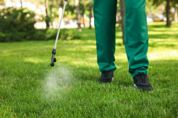 Best Emergency Pest Control  in Depoe Bay, OR