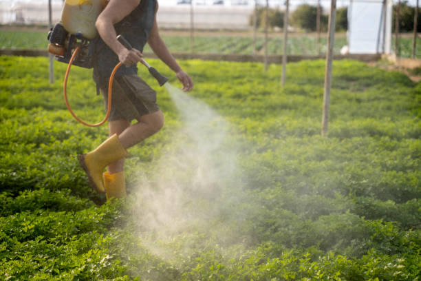 Best Commercial Pest Control Services  in Depoe Bay, OR