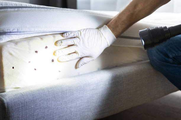 Best Local Pest Control Services  in Depoe Bay, OR