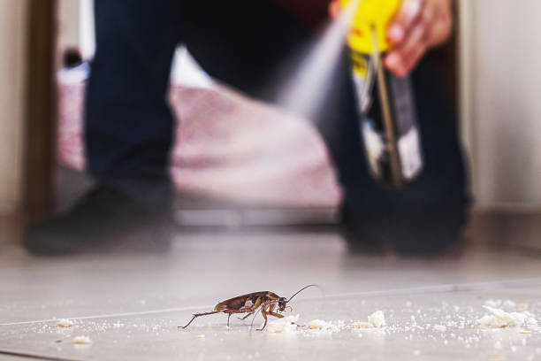 Best Wildlife Control Services  in Depoe Bay, OR