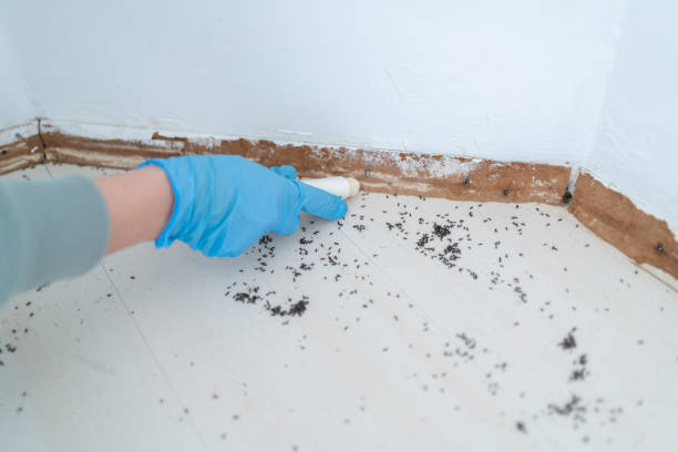 Best Best Pest Control Companies  in Depoe Bay, OR