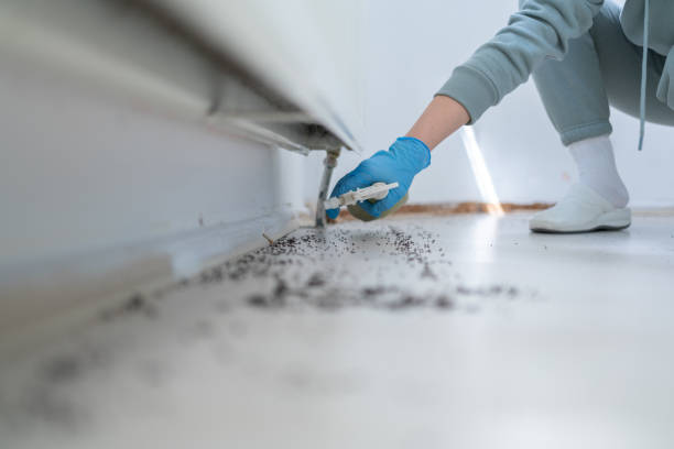 Best Cockroach Control Services  in Depoe Bay, OR